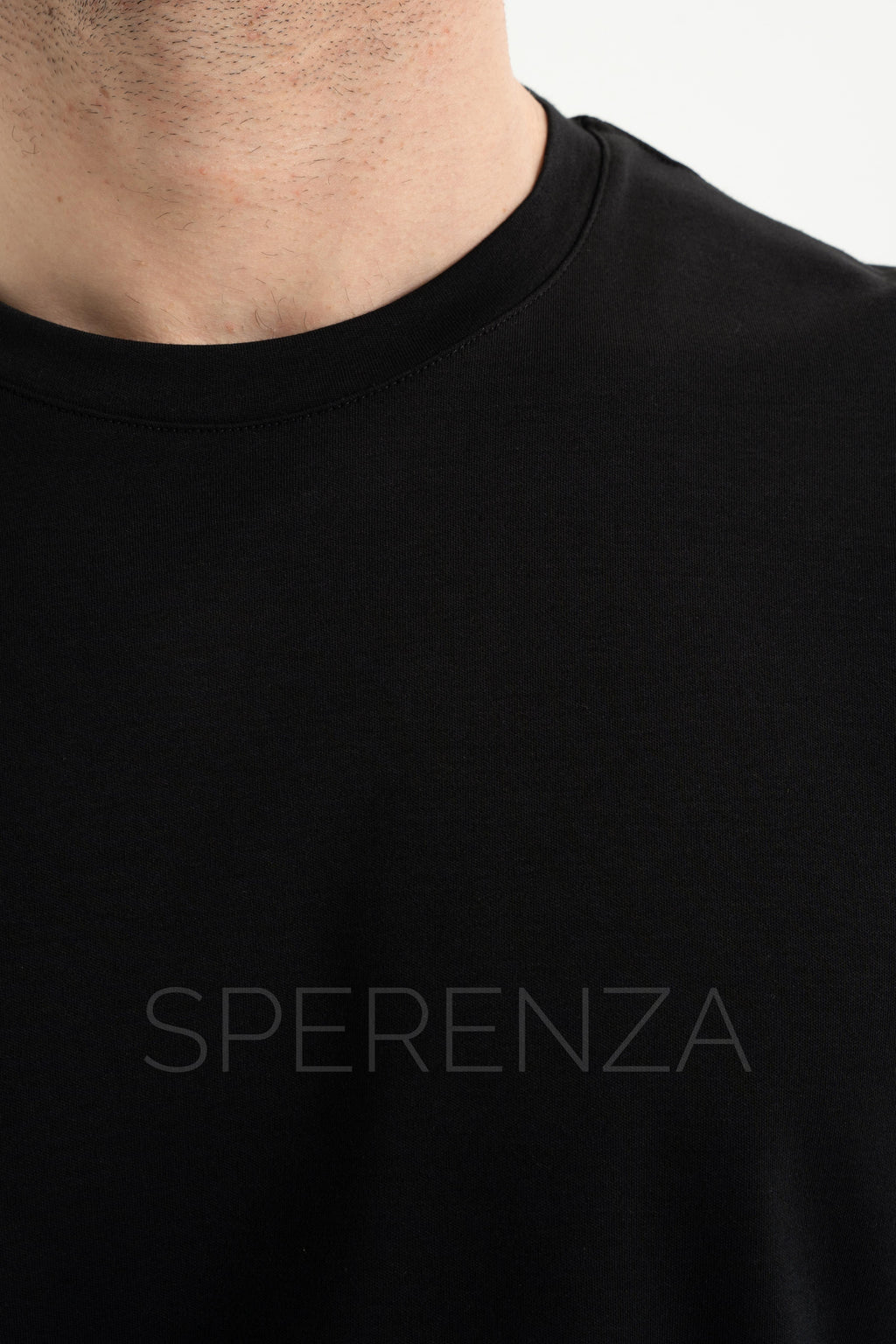 Loro Piana T-Shirt Cotton No:1010